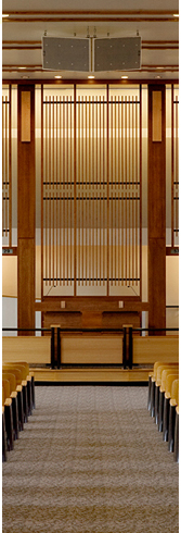 Institutional Design
